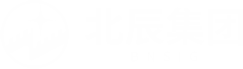 北辰集团标识